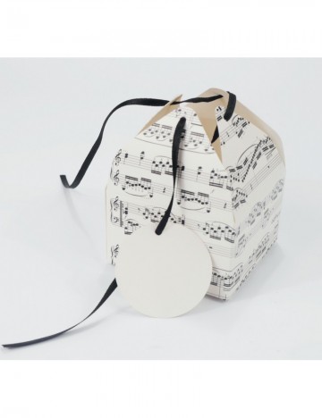 Geschenkdoosje notenbalken 3