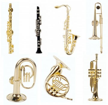 Magneet 3d blaasinstrumenten