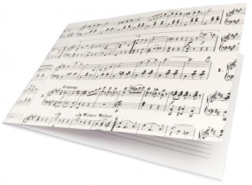 Muzieknotatieboekje a5 notenbalken