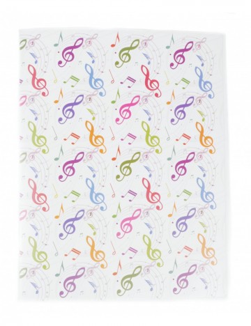 Ringband muziektekens kleurig