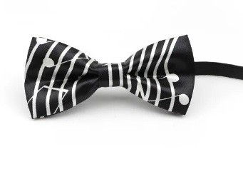 Vlinderstrik zwart met grote witte notenbalk klein