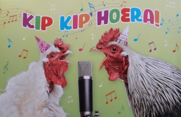 Wenskaart kip kip hoera